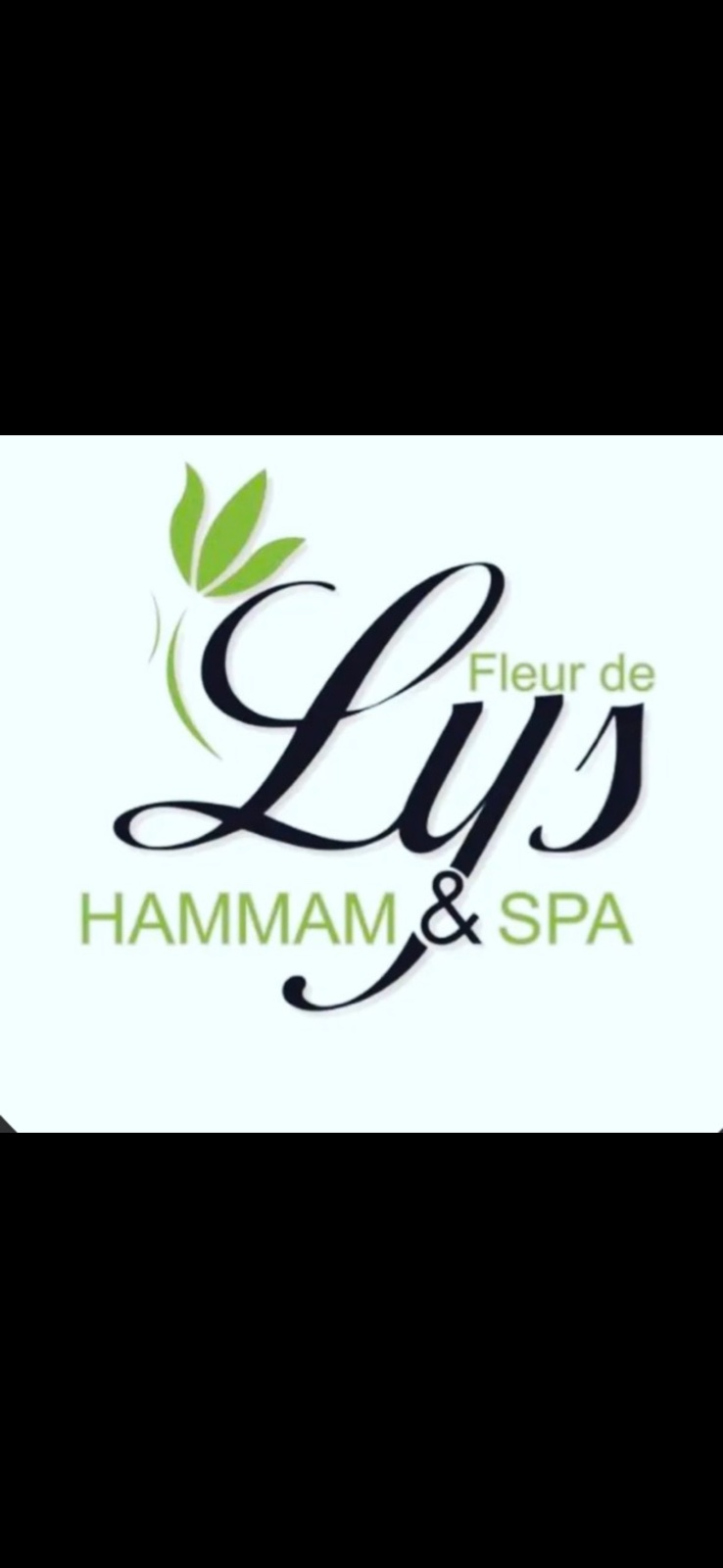 Logo Spa Fleurs de Lys